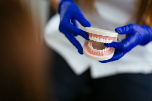 Dental X-Rays and Imaging in Elwood, IN